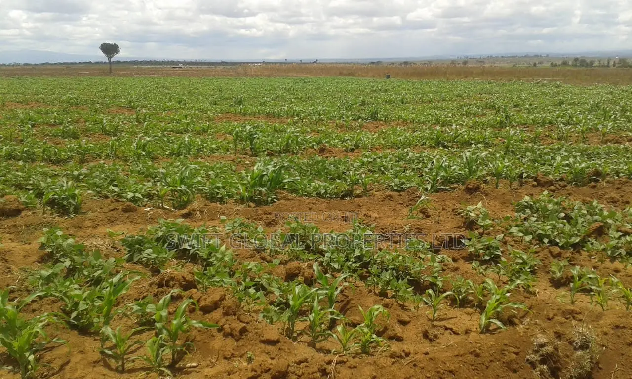 24,000 Acres With Water Is Available for Sale in Malindi