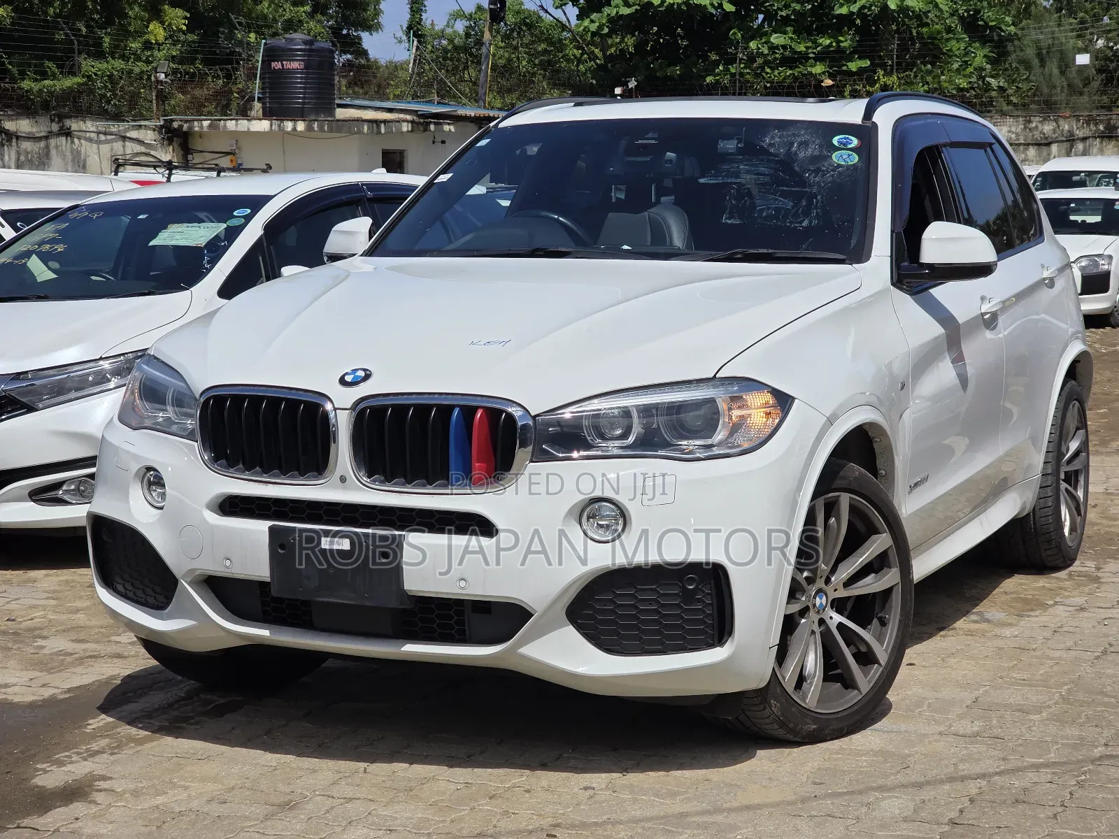BMW X5 xDrive35d AWD 2018 Pearl