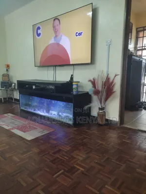Modern Under-Tv Aquarium Display