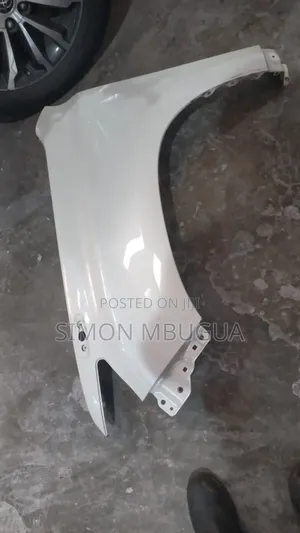 Toyota Prado 165(2018) Wing /Fender