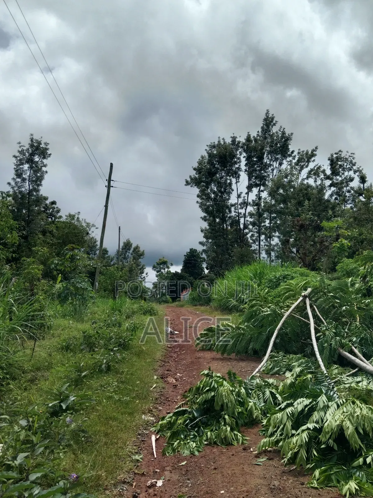 Plot Close to Chuka Town