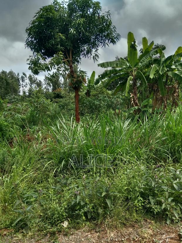 Plot Close to Chuka Town - thumbnail 4