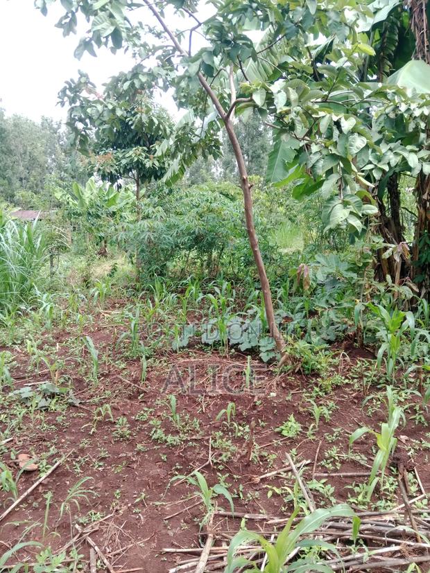 Plot Close to Chuka Town - thumbnail 6