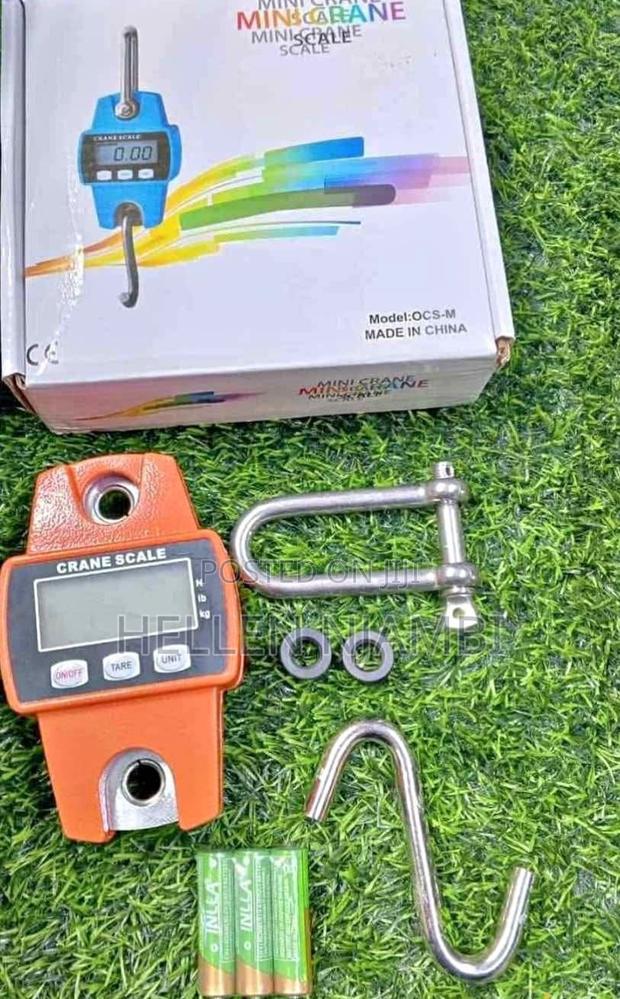 300kgs Crane Weighing Scale - main view