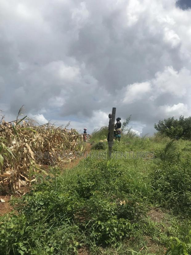 2acre Land for Sale in Vipingo Kadzinuni - thumbnail 3