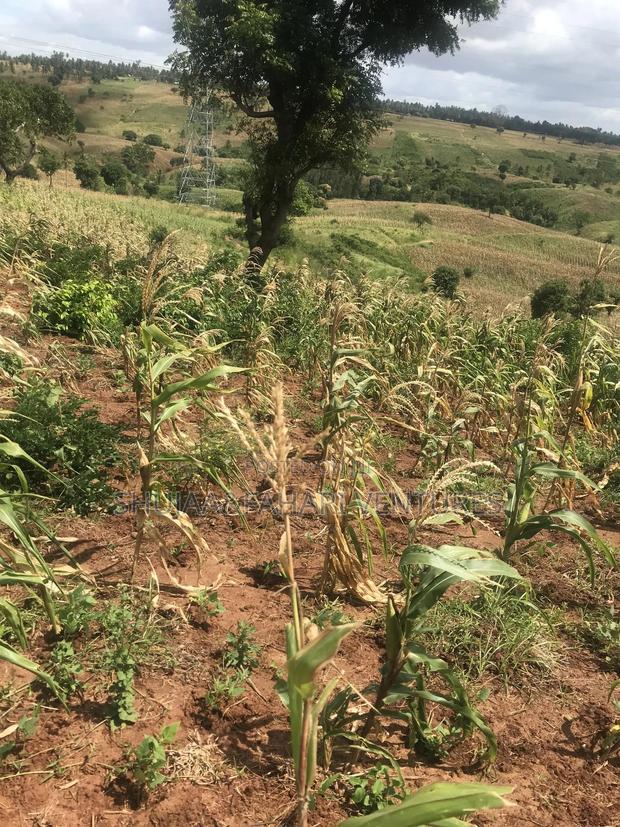 2acre Land for Sale in Vipingo Kadzinuni - thumbnail 12