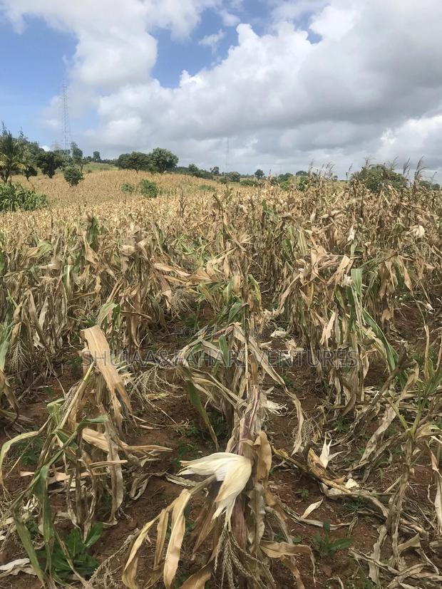 2acre Land for Sale in Vipingo Kadzinuni - thumbnail 7