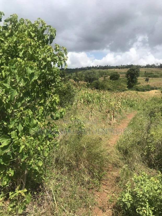 2acre Land for Sale in Vipingo Kadzinuni - thumbnail 5
