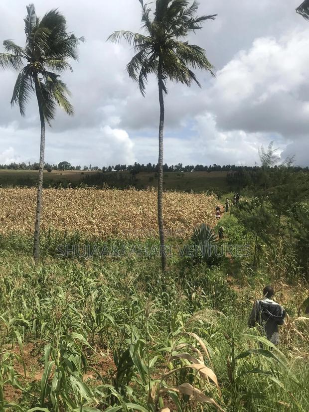2acre Land for Sale in Vipingo Kadzinuni - thumbnail 11
