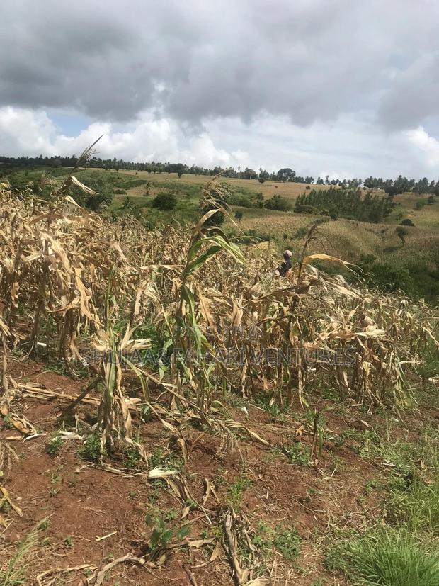 2acre Land for Sale in Vipingo Kadzinuni - main view