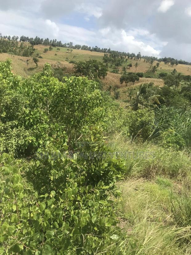 2acre Land for Sale in Vipingo Kadzinuni - thumbnail 6