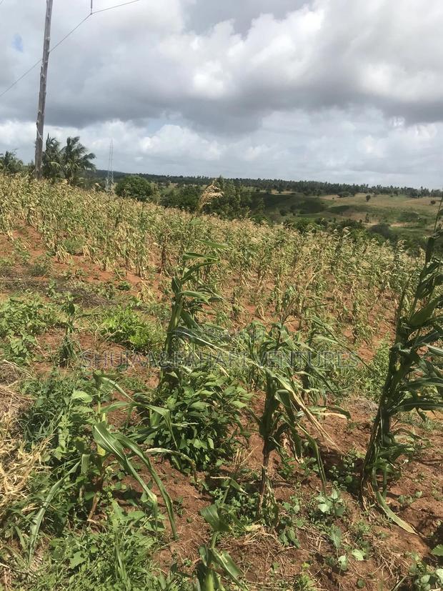 2acre Land for Sale in Vipingo Kadzinuni - thumbnail 13