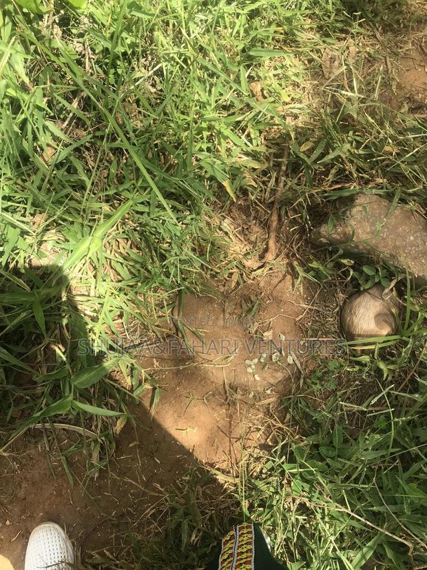 2acre Land for Sale in Vipingo Kadzinuni - thumbnail 10