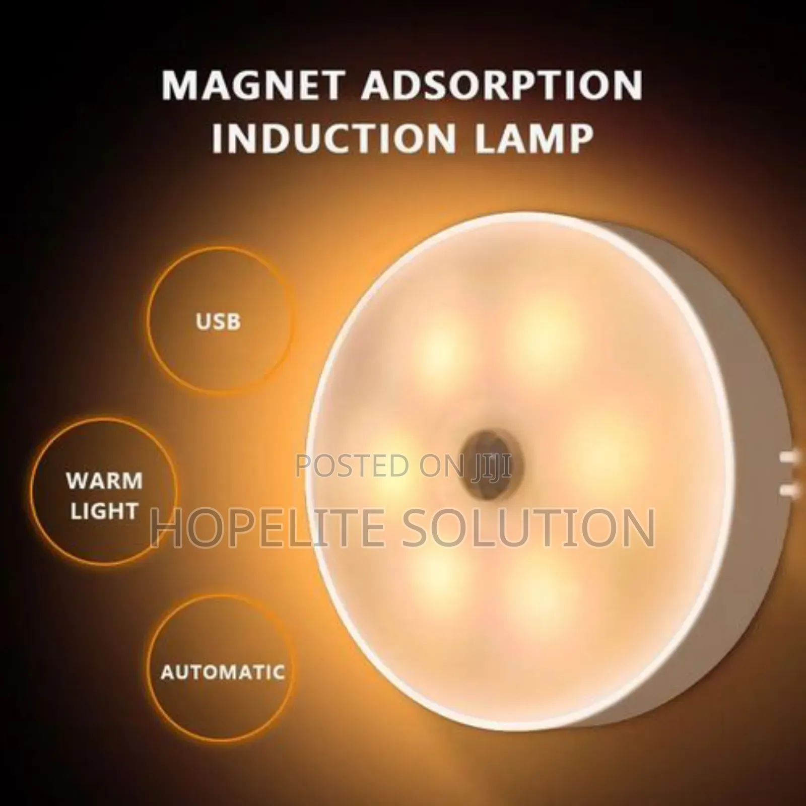 Intelligent Induction Lamp