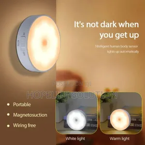 Intelligent Induction Lamp