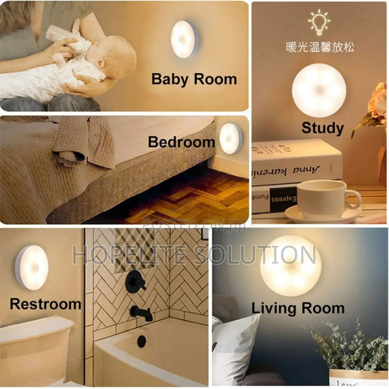 Intelligent Induction Lamp