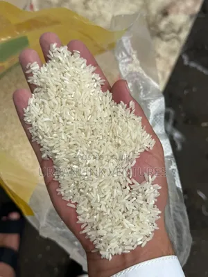 Rice Biryani