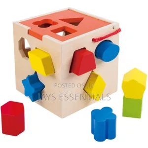 Wooden Montessori Shape Sorter