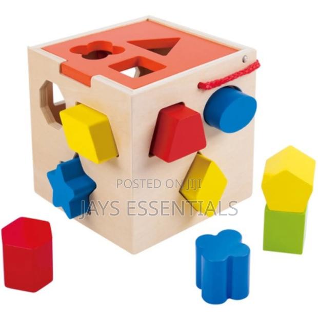 Wooden Montessori Shape Sorter