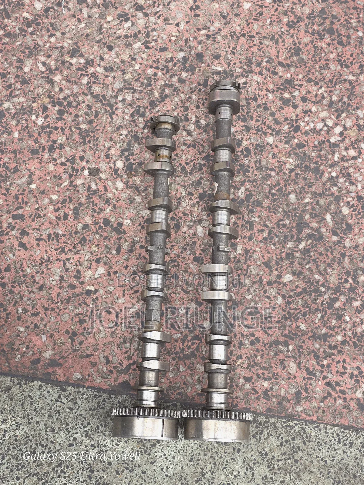 Camshafts Mr20 for Old and New Model Available