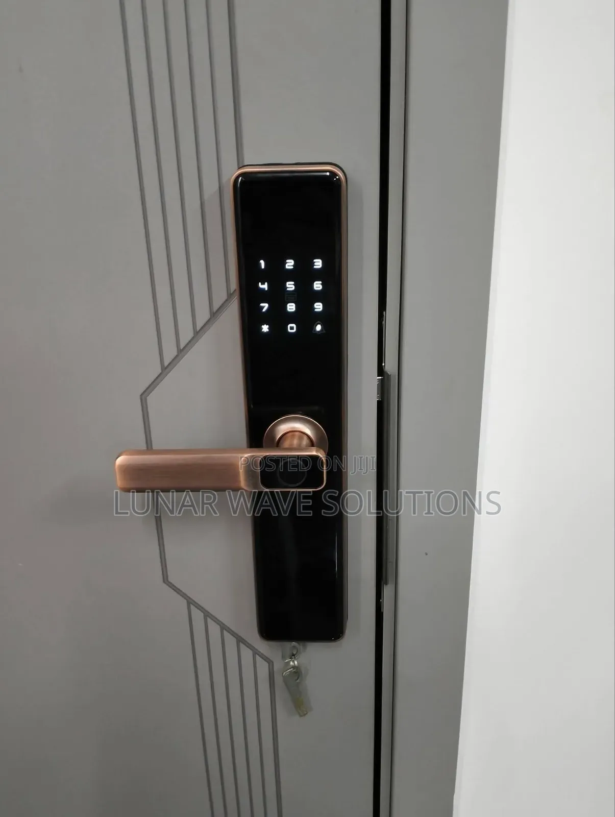 Intelligent Tuya Lock(Shop in Nairobi)