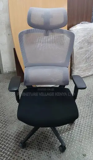 Office Chair: Tall Orthopedic Mesh Executive Directors Seat
