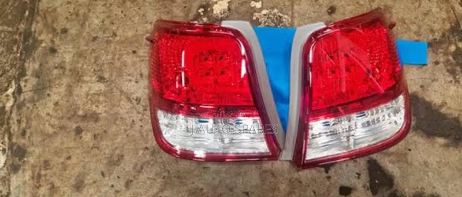 Axio 161 Taillight 2013