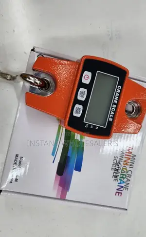 300 KGS Hanging Crane Scales