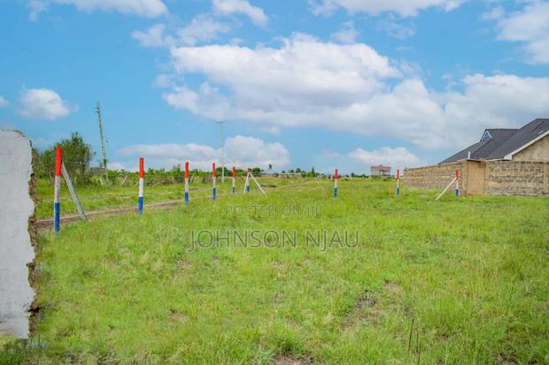 A Deposits Of Can Buy A 50/100 Acre Plots