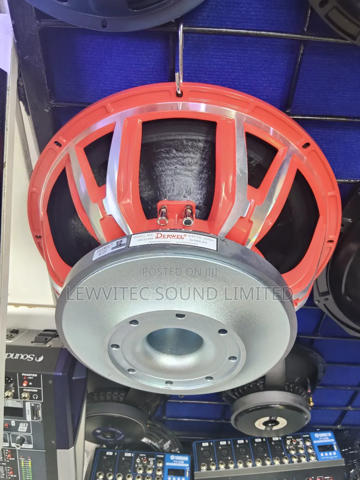 Pd Derwel Speaker