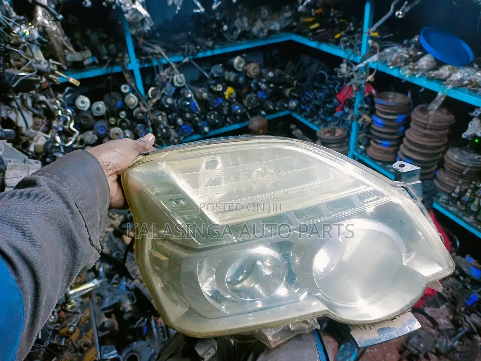 Nt31 Head Light