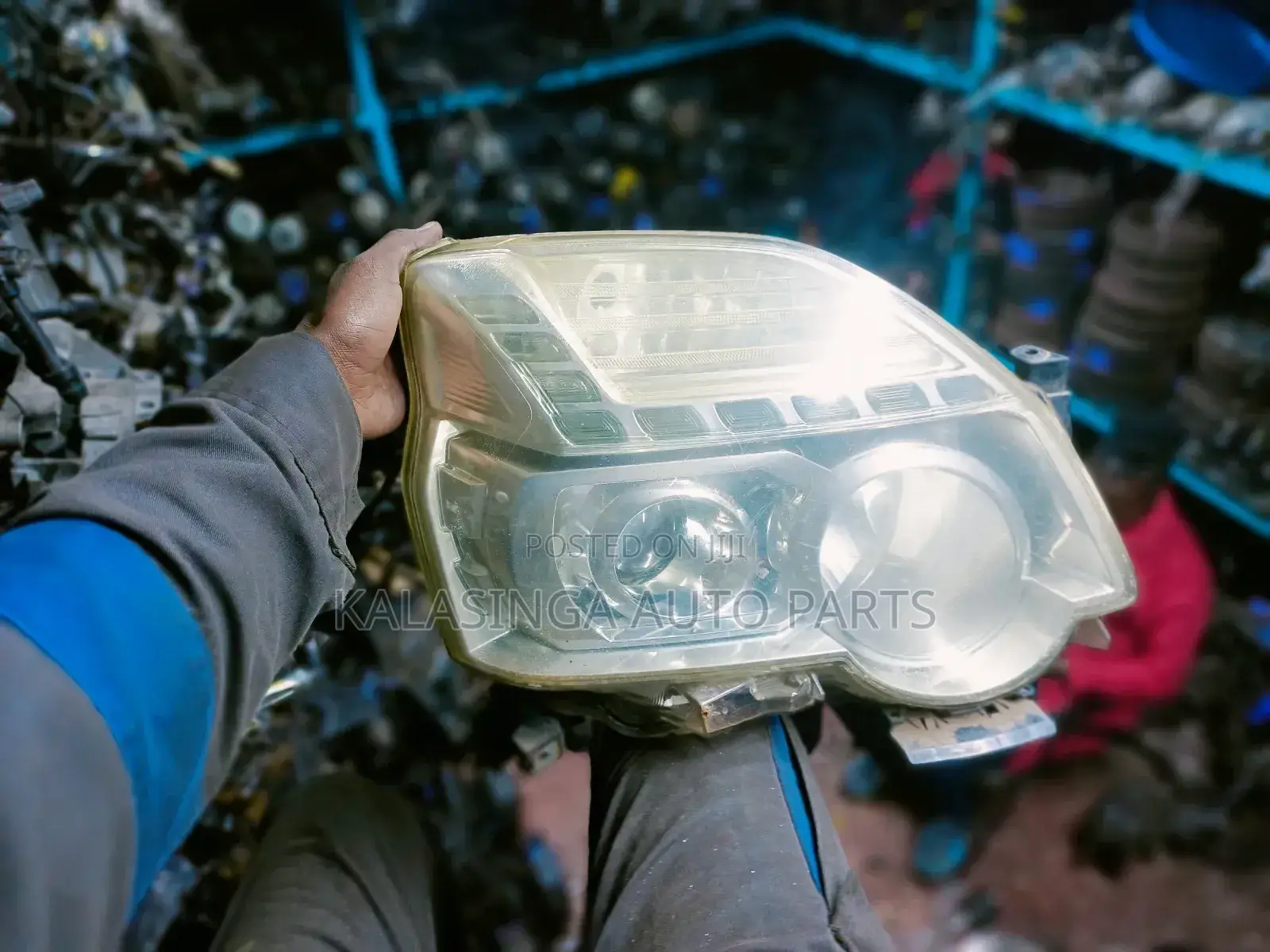 Nt31 Head Light