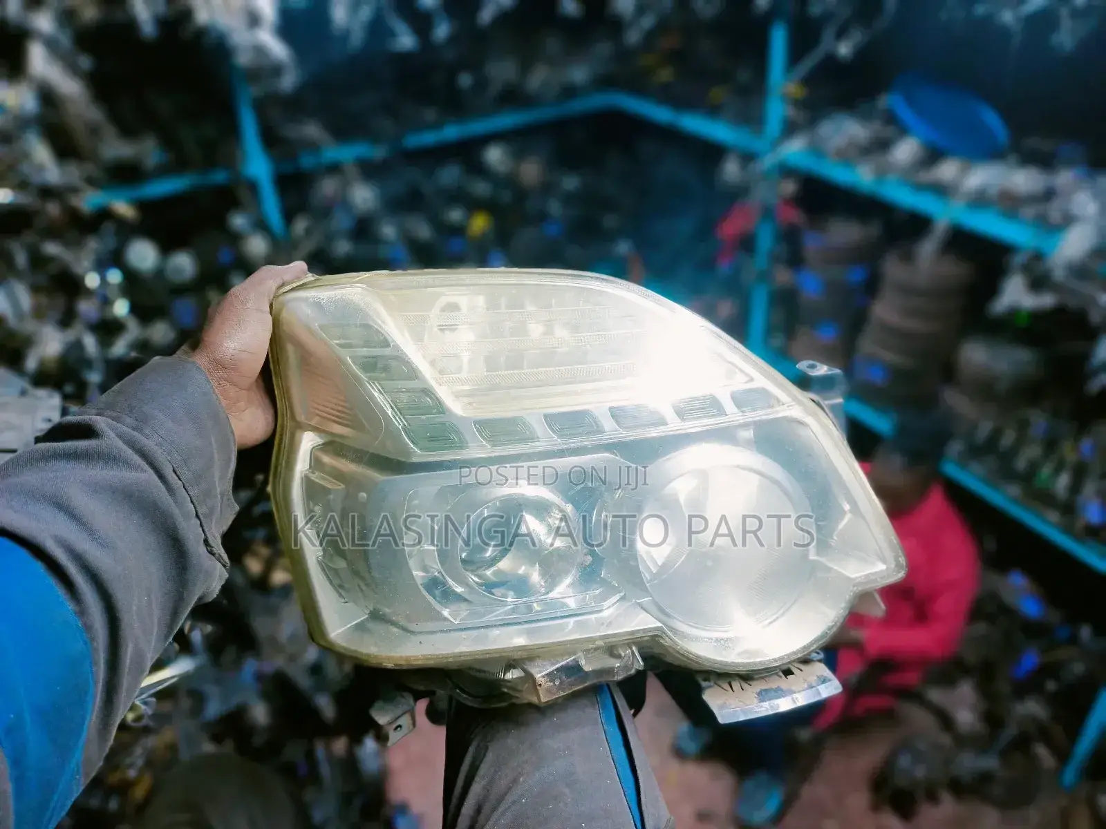 Nt31 Head Light