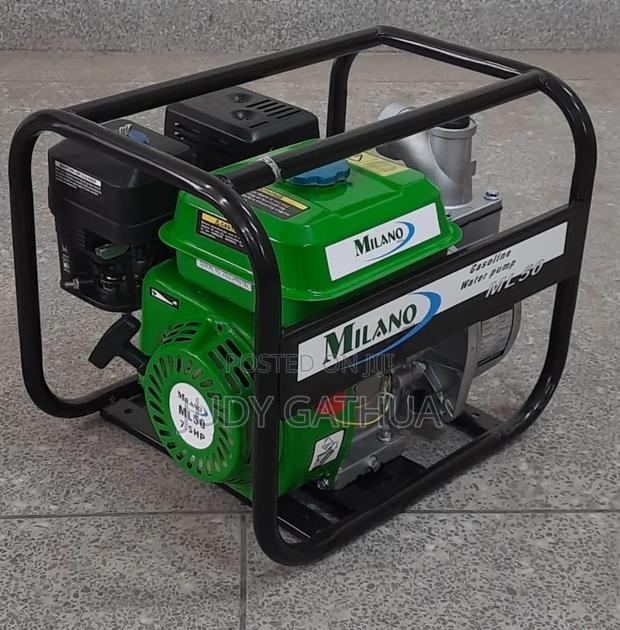 Petrol Water Pump 2" Milano