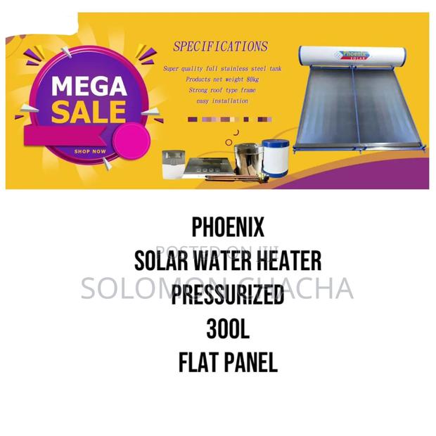 Phoenix 300 Litre Solar Water Heater Pressurized Flat Panel - main view