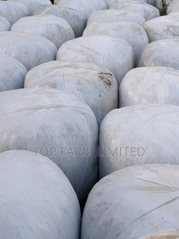 Silage Pure Full Corn
