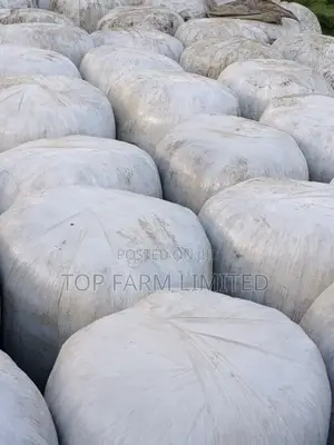 Silage Pure Full Corn