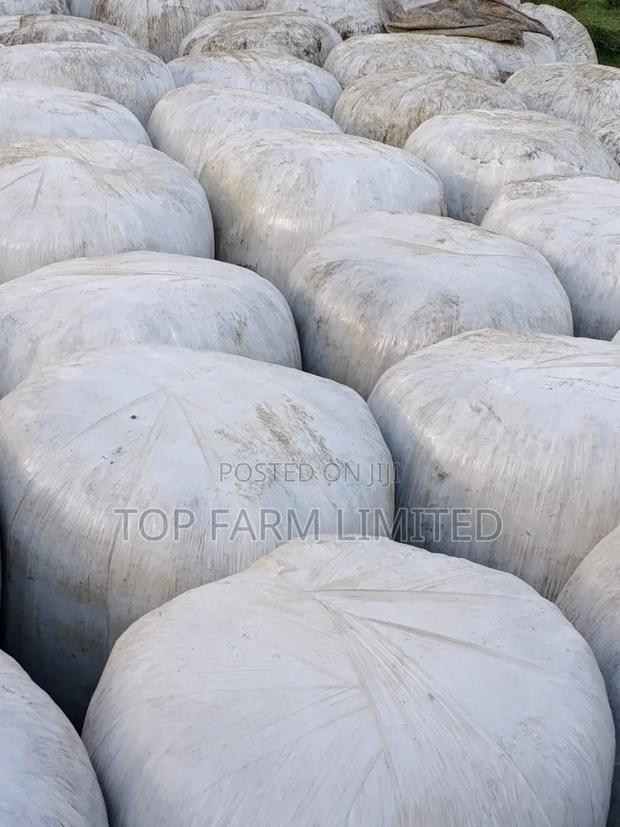 Silage Pure Full Corn - thumbnail 2