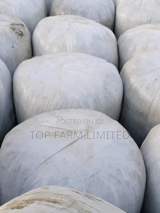 Silage Pure Full Corn - thumbnail 3