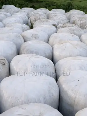 Silage Pure Full Corn