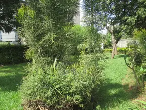 0.5-Acre Plot for Sale in Parklands