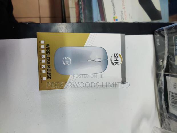 Rechargeable Wireless Mouse Works With Most Systems