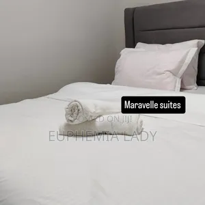 2bdrm Air BNB Apartment in Kilimani for Short Term Rentals