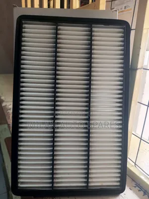 Mitsubishi Pajero V6 Genuine Air Filter