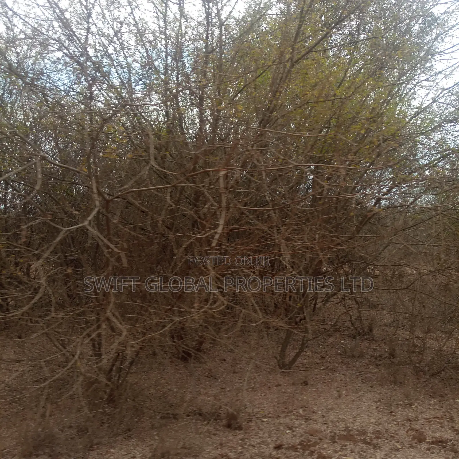 400 Acres Touching Athi River in Kambu Is Available for Sale