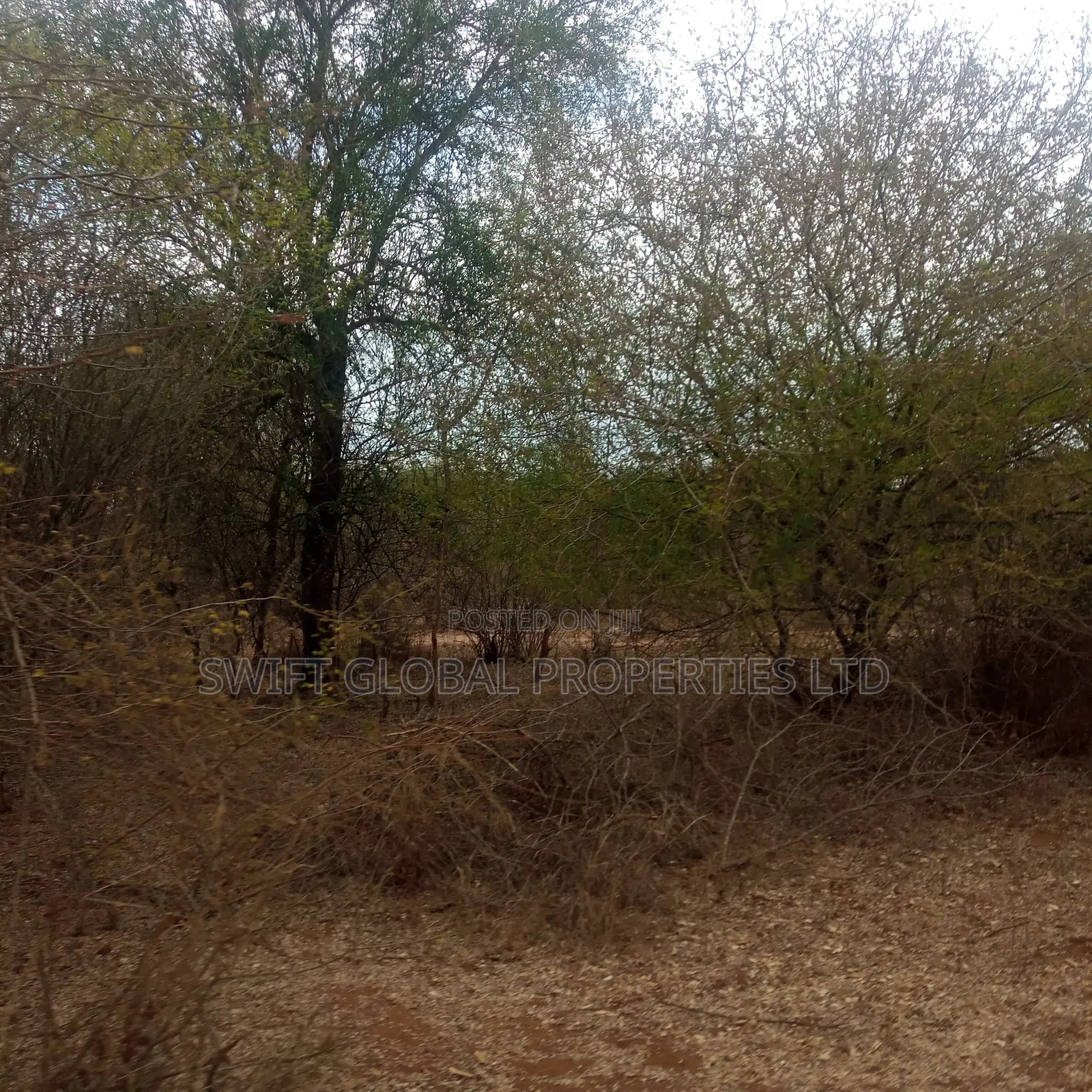 400 Acres Touching Athi River in Kambu Is Available for Sale