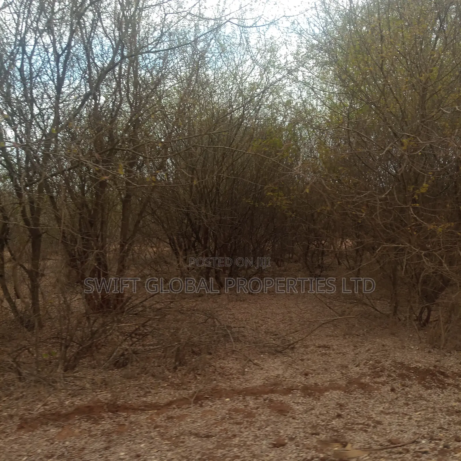 400 Acres Touching Athi River in Kambu Is Available for Sale
