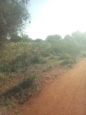 90 Acres Touching Athi River in Kambu Is Available for Sale