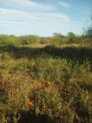 90 Acres Touching Athi River in Kambu Is Available for Sale