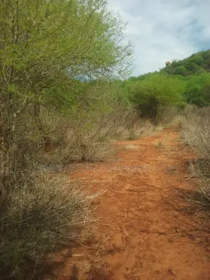 60 Acres With Permanent Water in Kambu Makueni Is for Sale